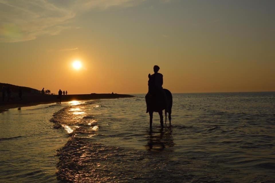 Lise'S Place Vrouwenpolder Dış mekan fotoğraf